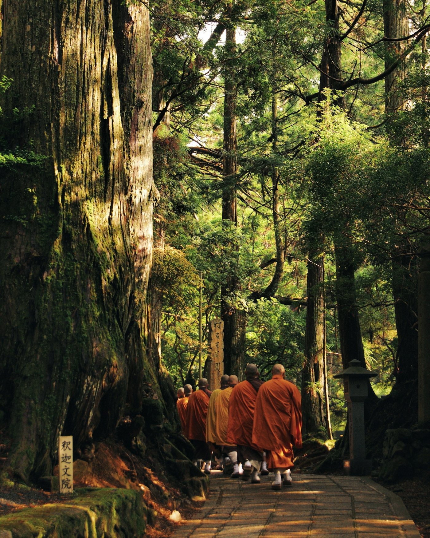 Monks walking on a pathway surrounded with trees